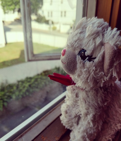 IMG_20180731_080603_792